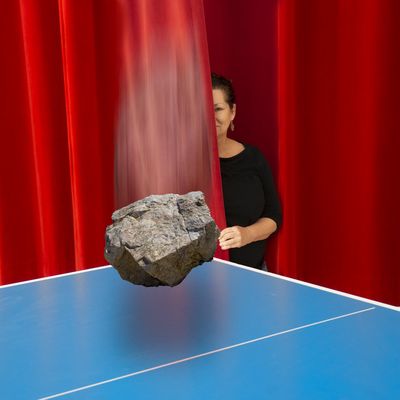 The Inventor of Gravity