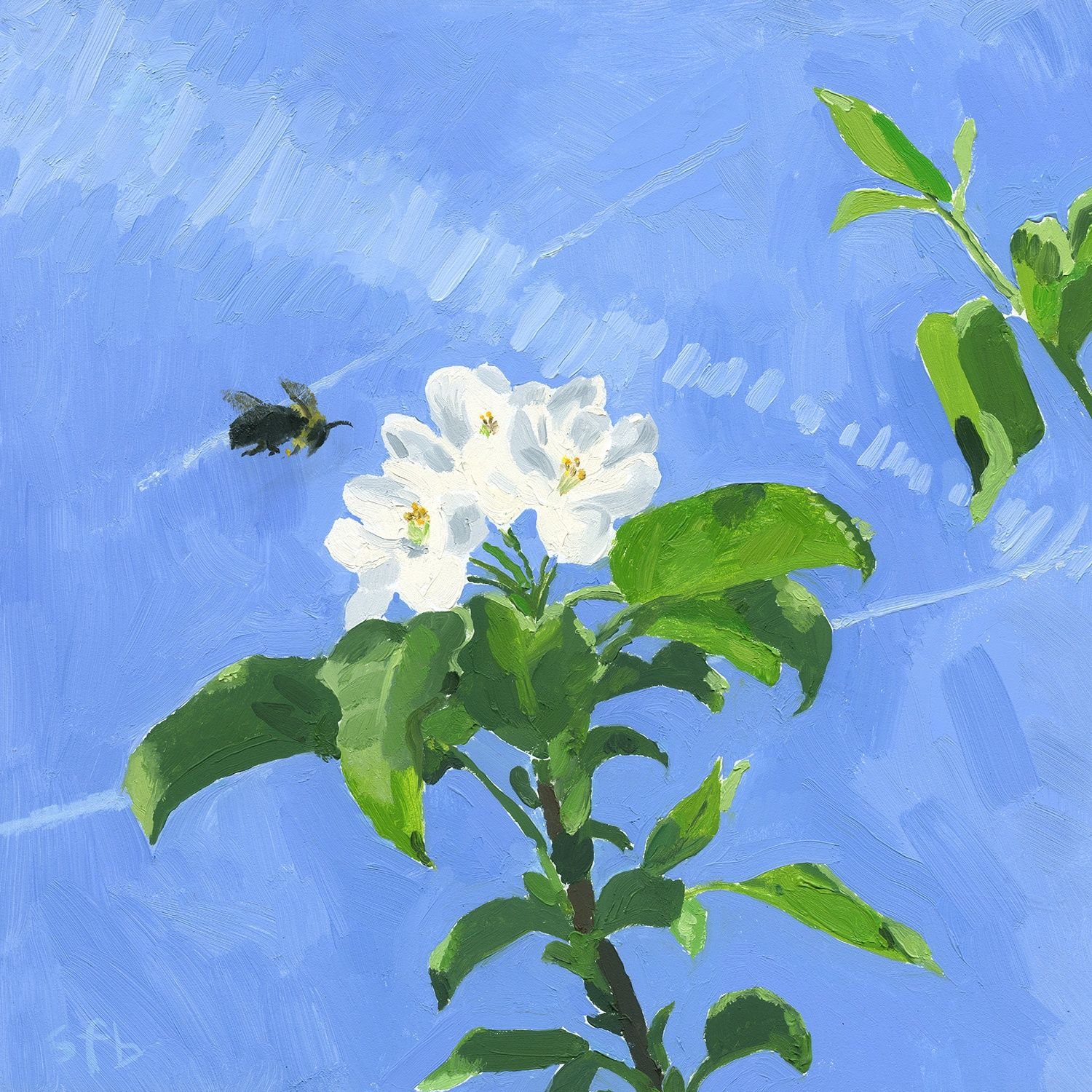 Apple Blossom and Bumble Bee