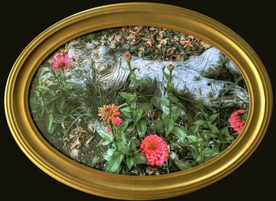 Garden Details-Zinnias and Burl