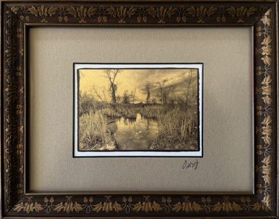 Pond off Bear Creek