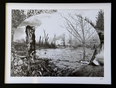 Bear Creek Triptych #1