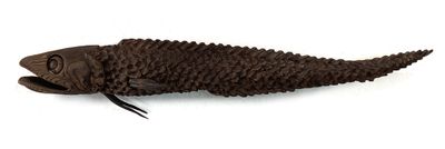 Cusk Eel