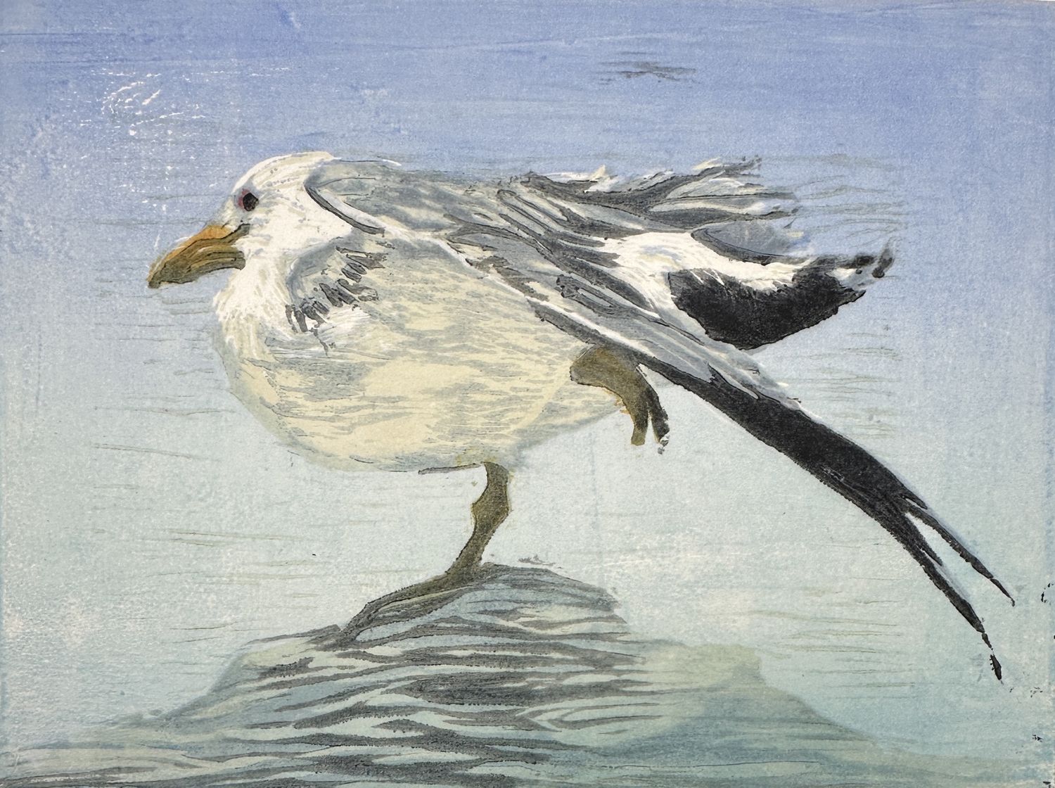 Yoga Gull