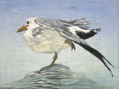 Yoga Gull