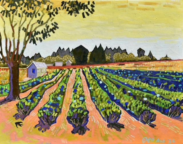 Janet's Hydrangeas, 2026