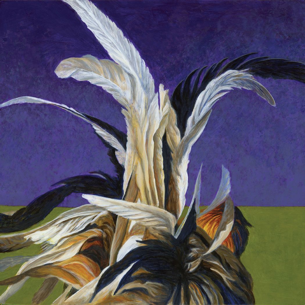 Chickenfeathers 2
