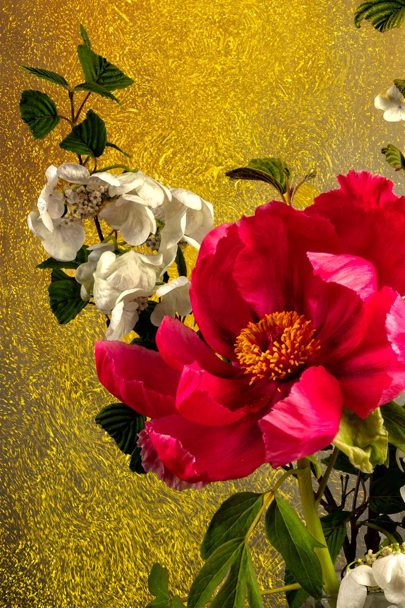 Botanica of the Numinous 1