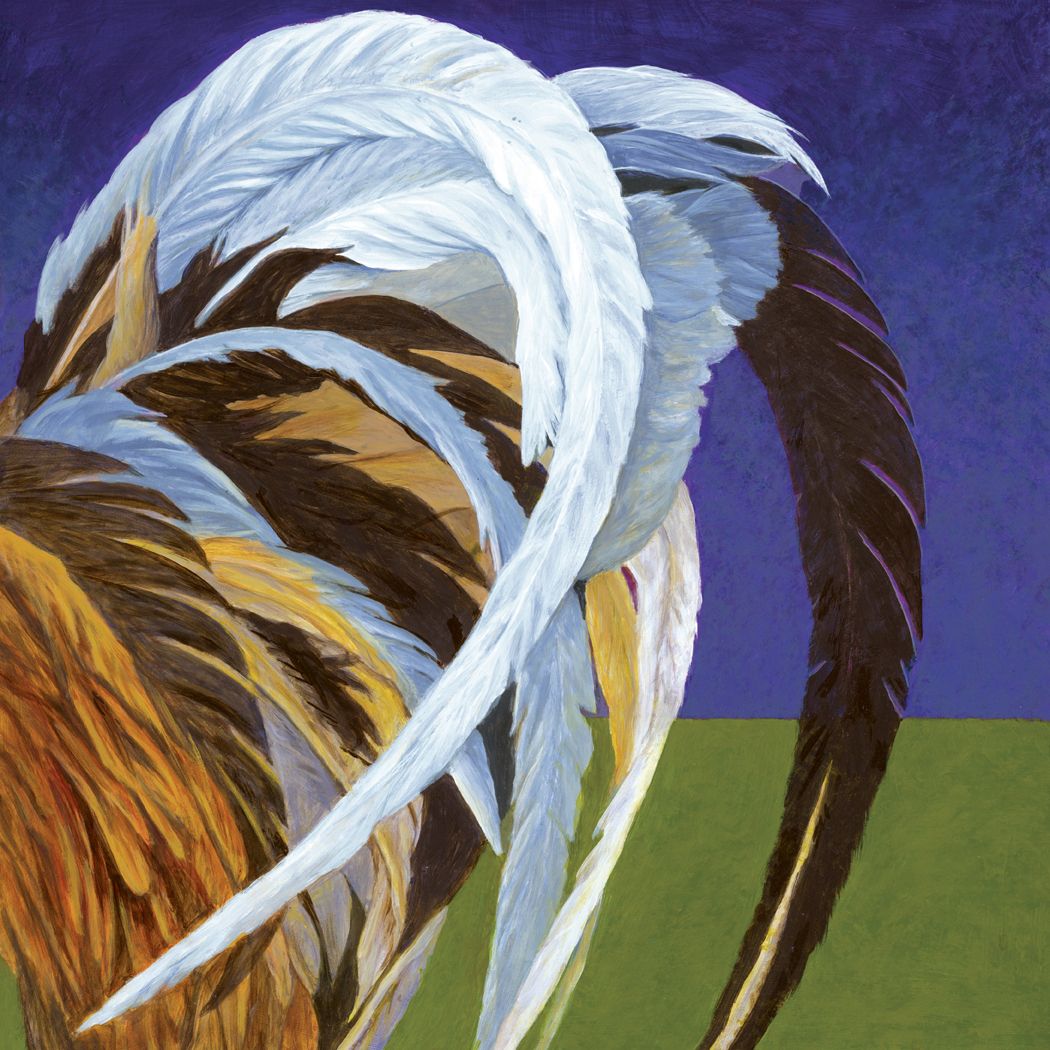 Chickenfeathers 1