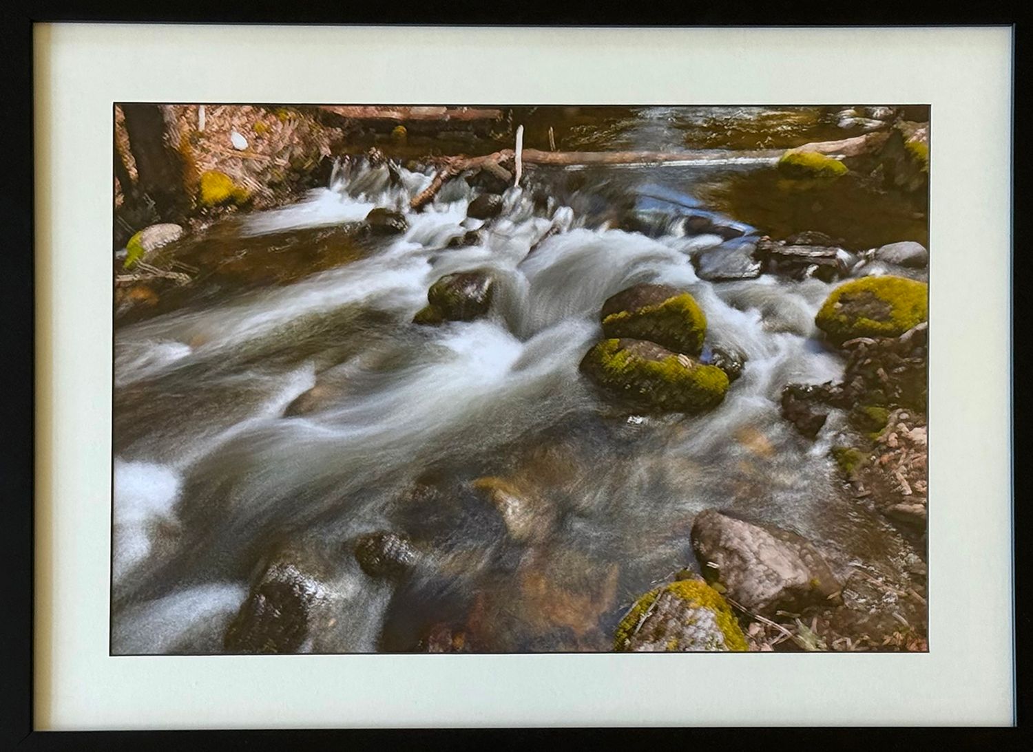 Ashland Creek in Motion