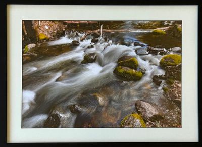 Ashland Creek in Motion