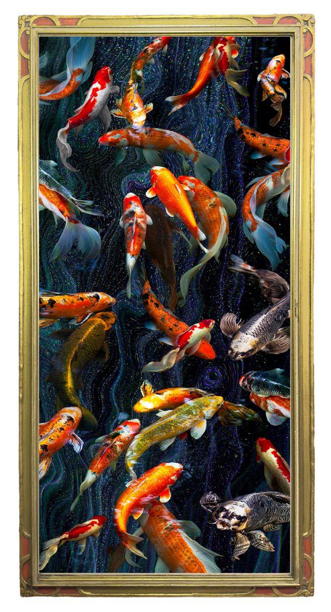 A Meeting of the Fish Minds