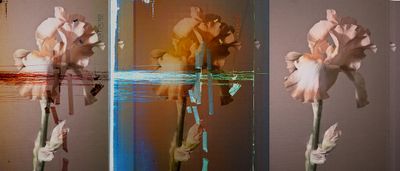 Triptychs 646-647-649