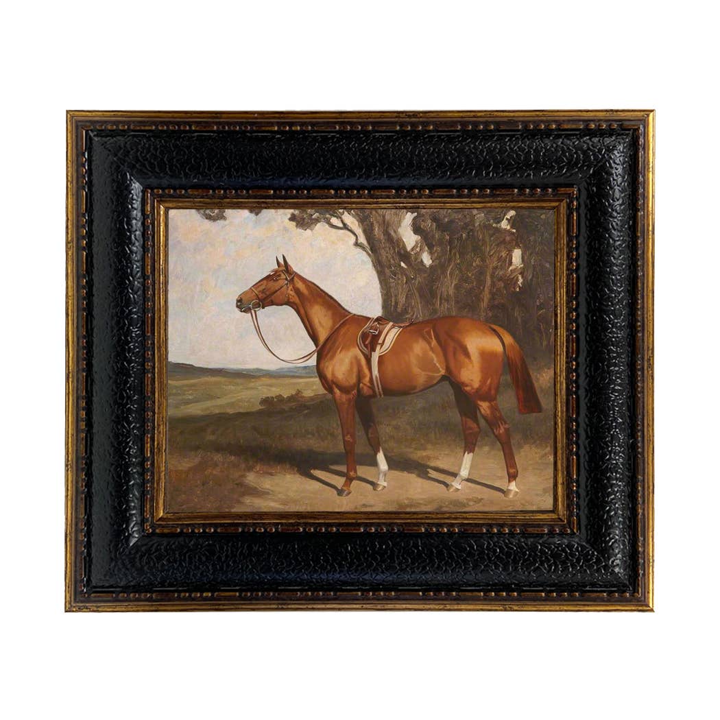 Saddled Chestnut Race Horse Vintage Painting Print on Canvas