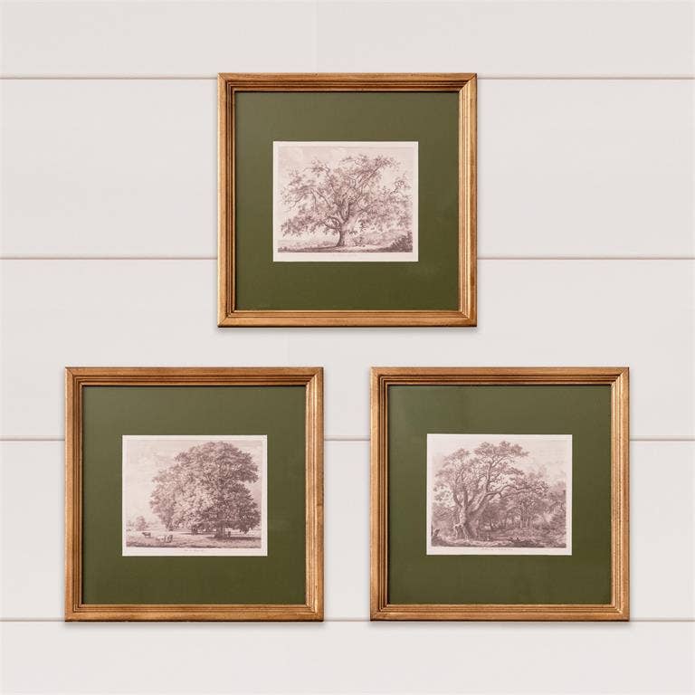 Audrey's Home & Gift - Framed Print - Olive Matted Tree Sketch