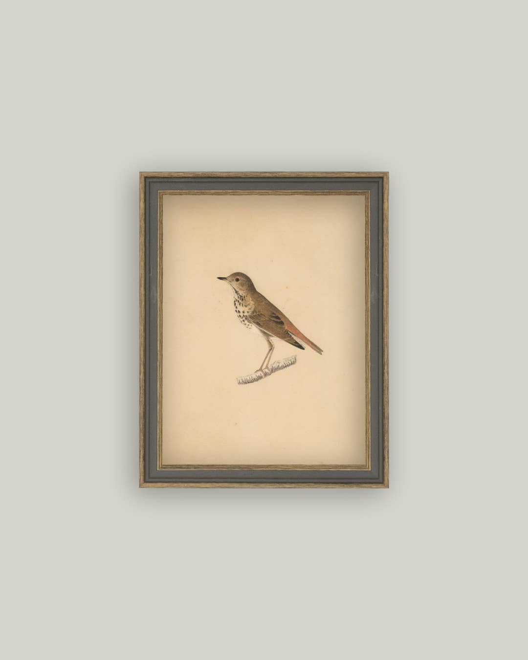 Petal Lane Home - Bird Framed Antique Art