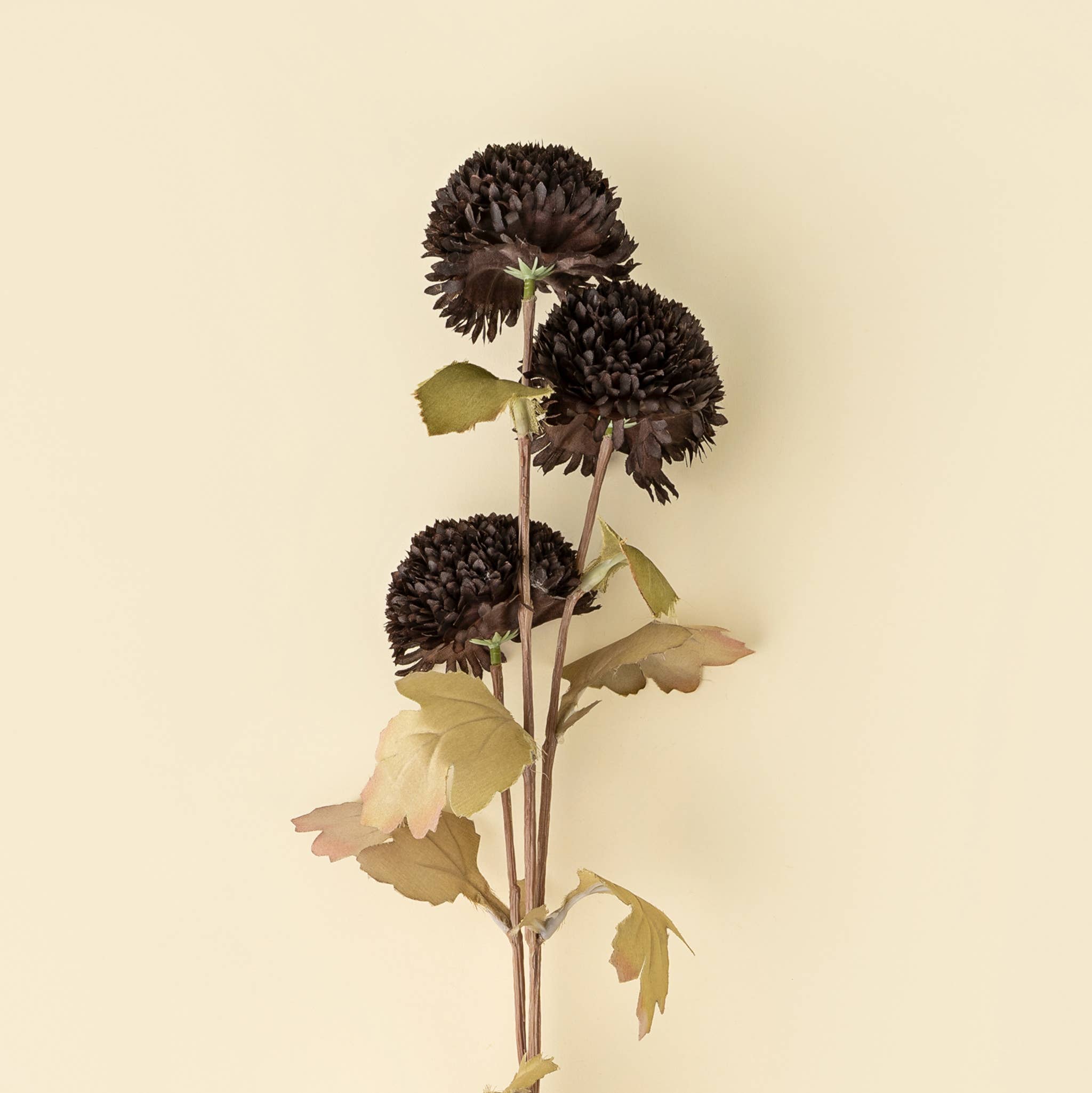 Indaba Trading - Pom Pom Floral Spray, Midnight