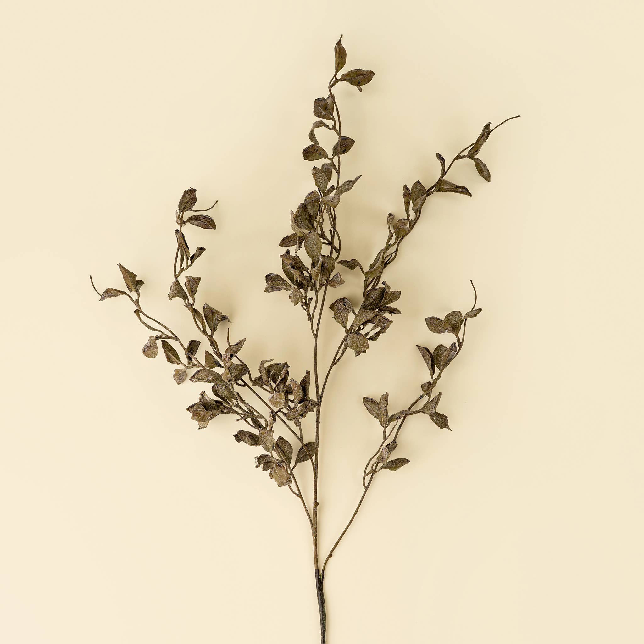 Indaba Trading - Smoked Eucalyptus Spray