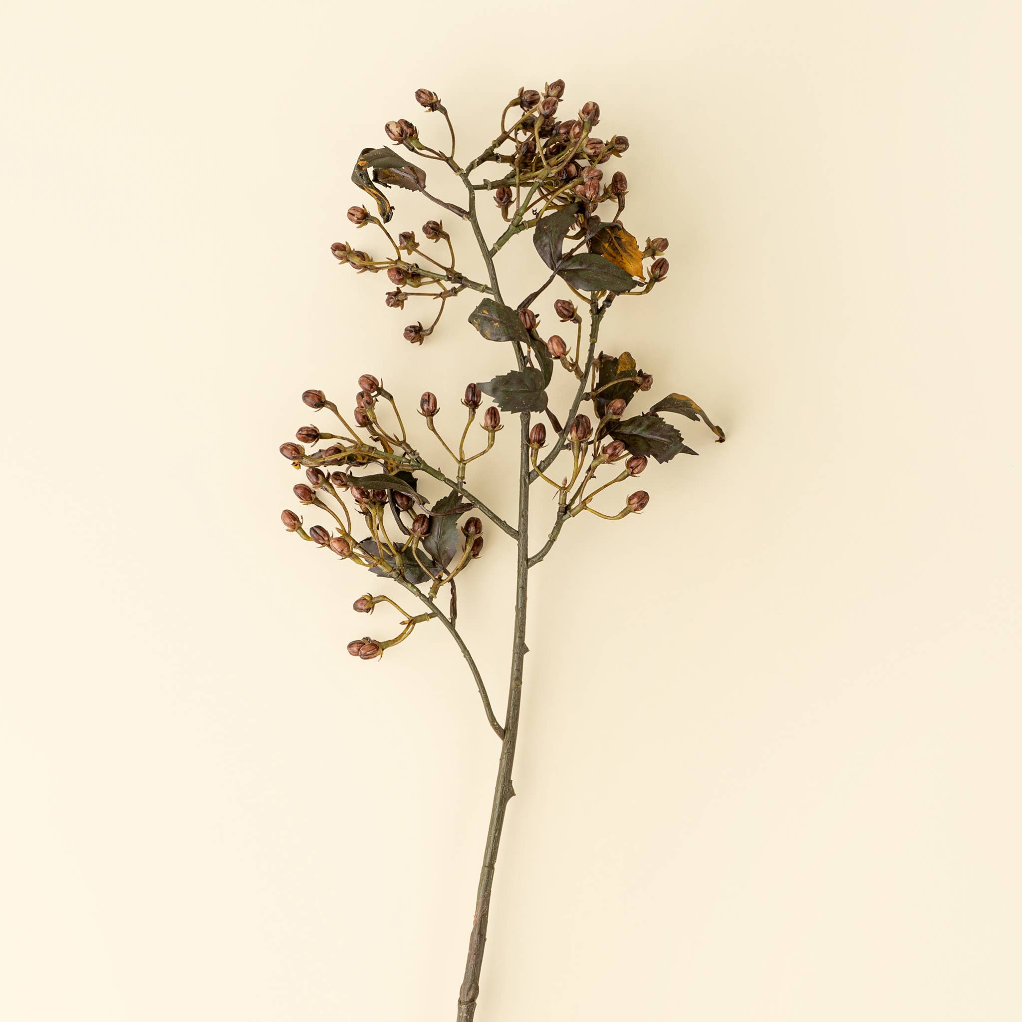 Indaba Trading - Hipericum Spray