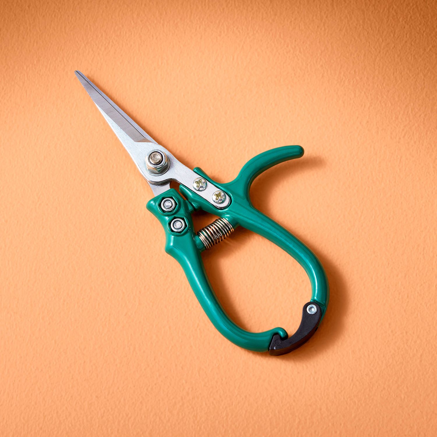 Garden Shears, Color: Ocean