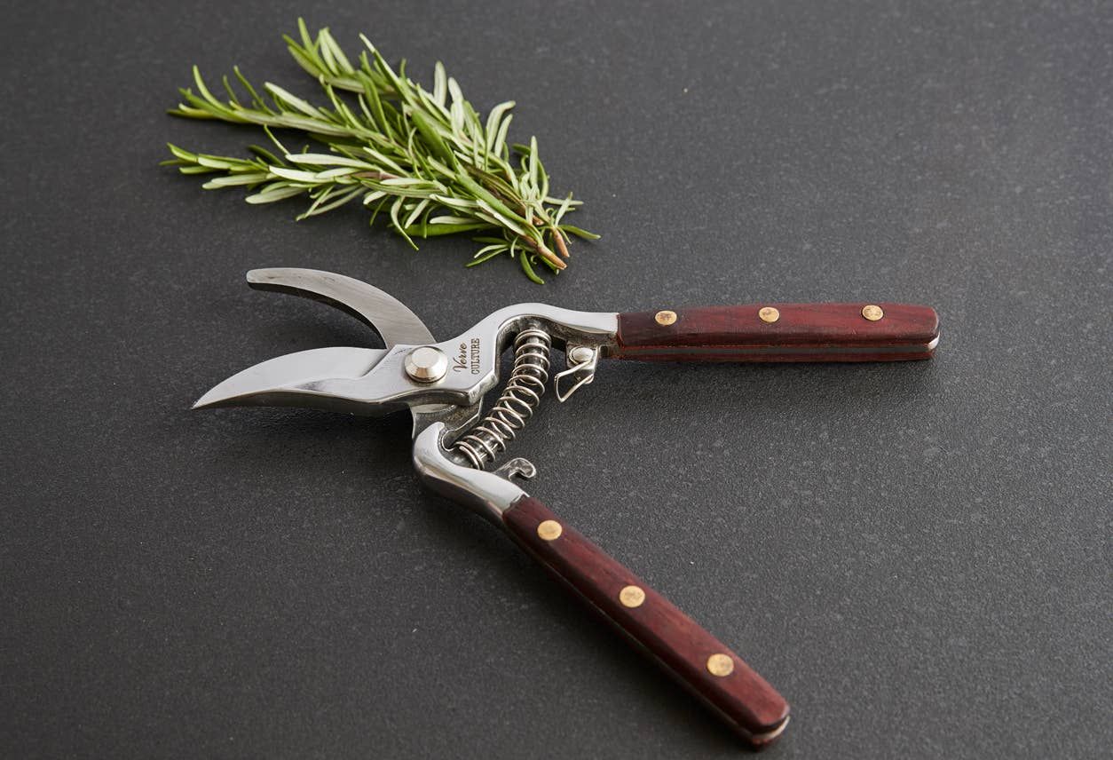 Thai Kitchen &amp; Garden Shears