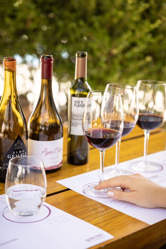 ¿Como está compuesto un vino?