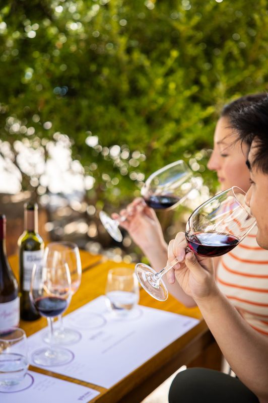 Descubriendo vinos argentinos