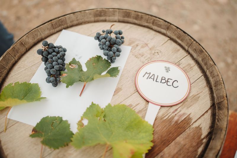 Recorriendo Argentina a traves del Malbec