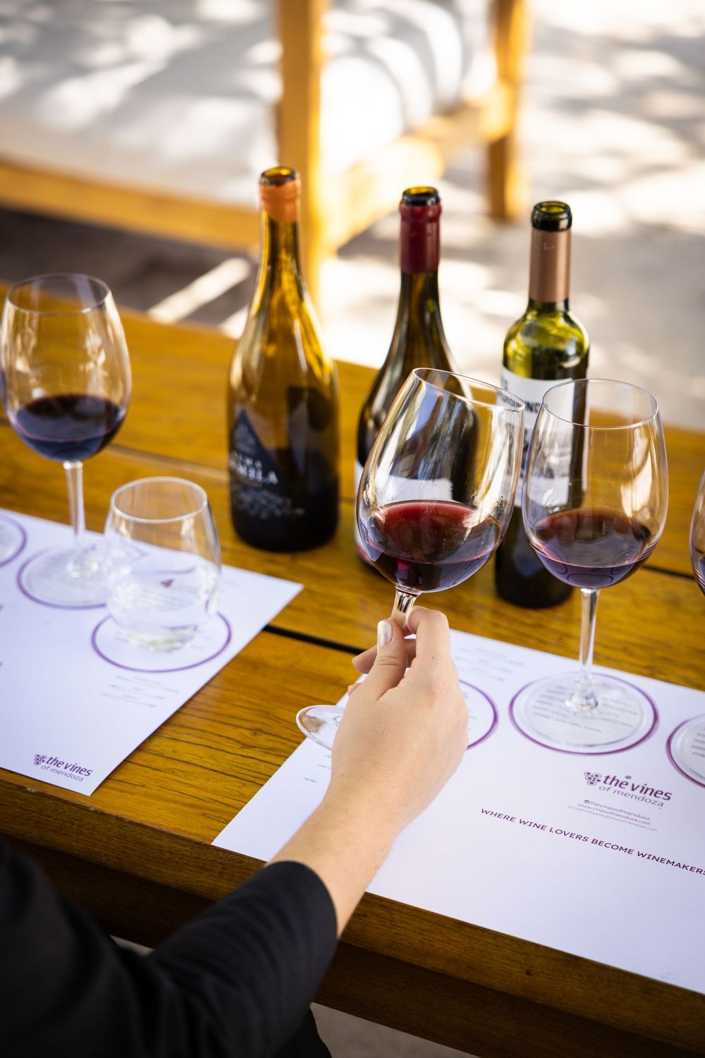 The Vines Wine Experience (Estadía hasta 5 huespedes + actividad en bodega)