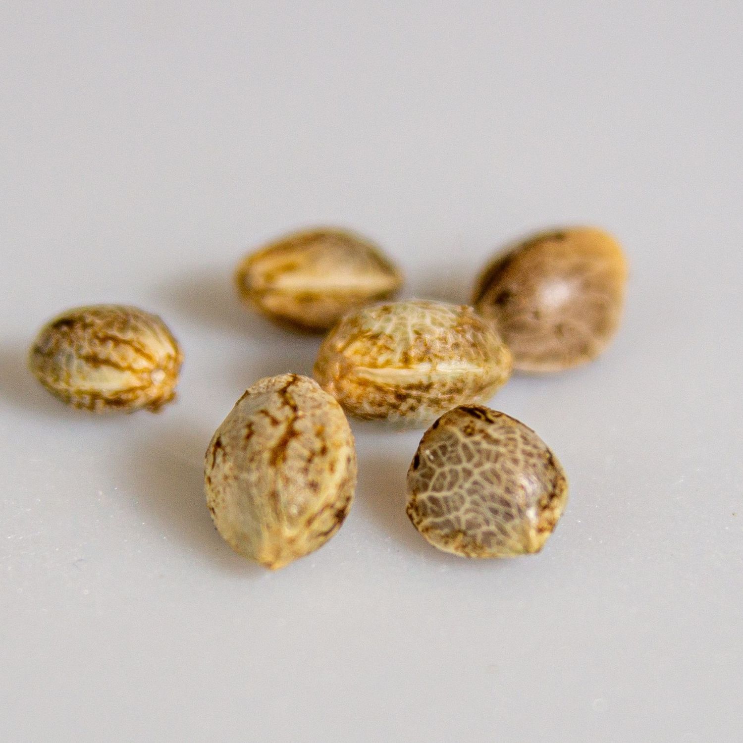 Sample Product Name