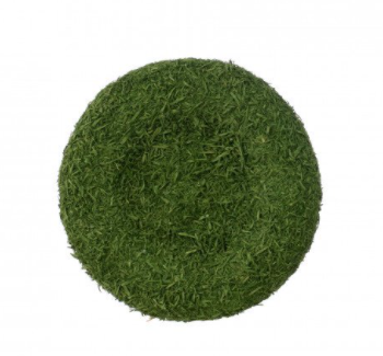 7&quot; Green Flower Center for Wreath