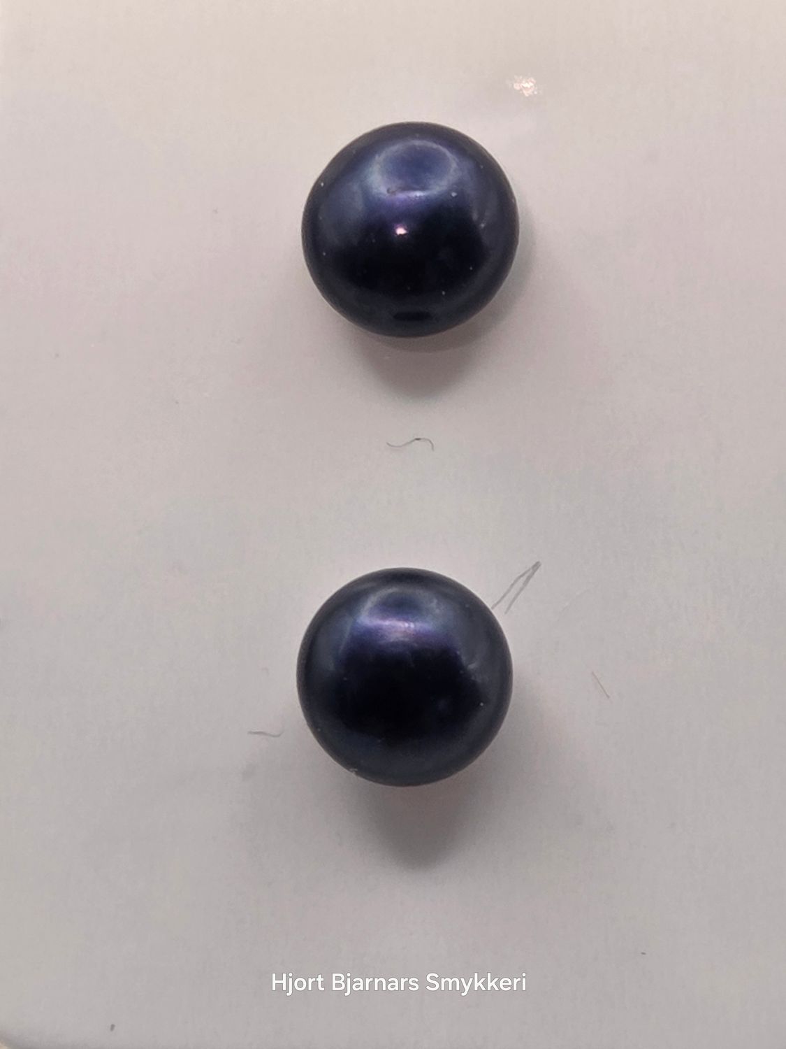 Studs i Dypblått