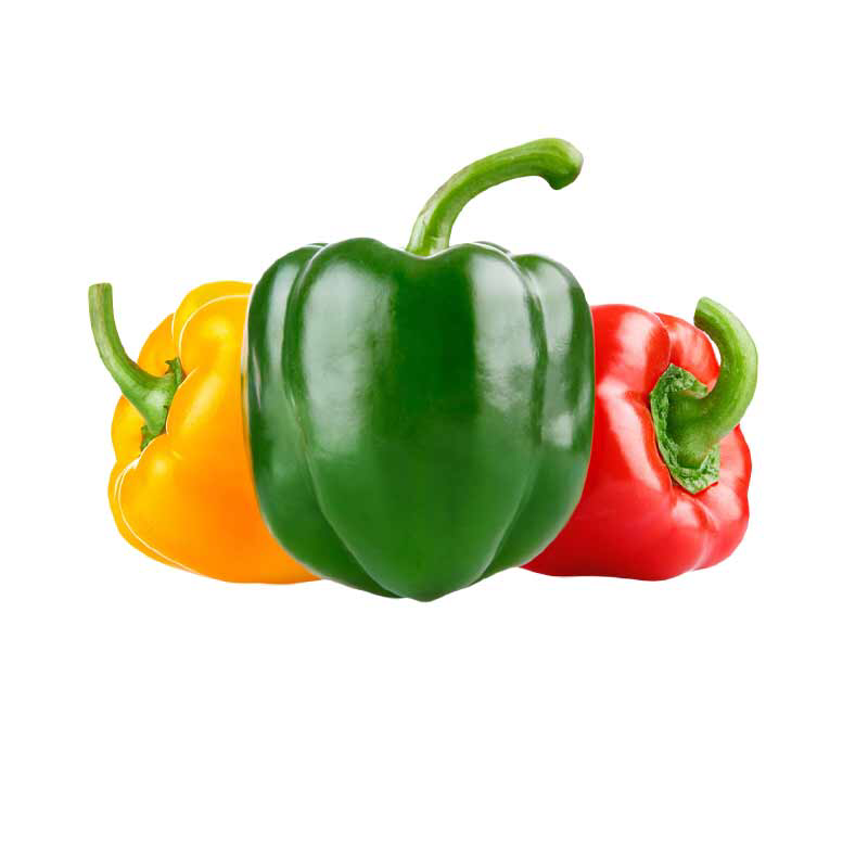 Bell Pepper (Red / Yellow / Green) Case