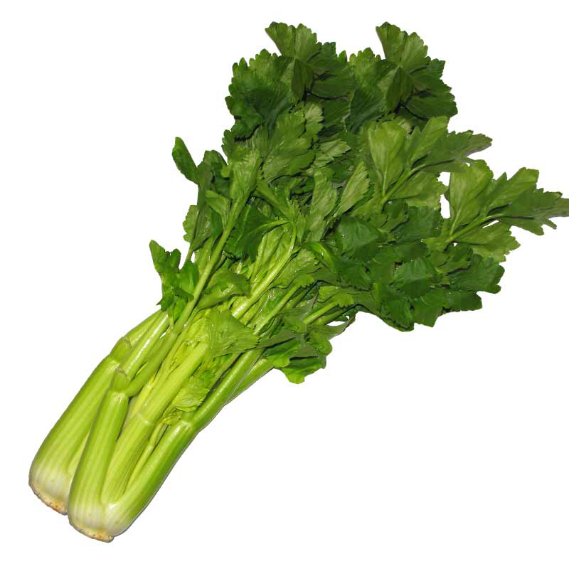 Celery 4kg Carton Box