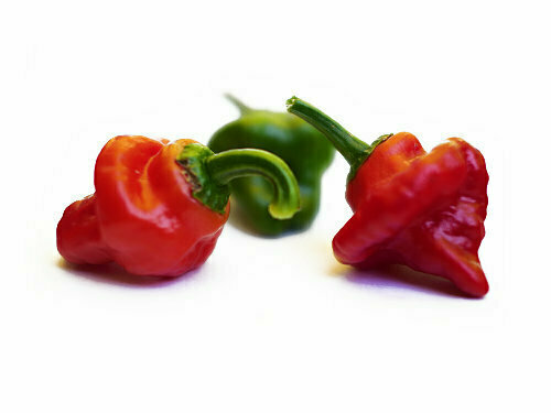 Hot Chilly MVR 140/Kg