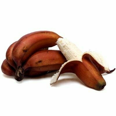 Red Banana 5Kg Carton Box