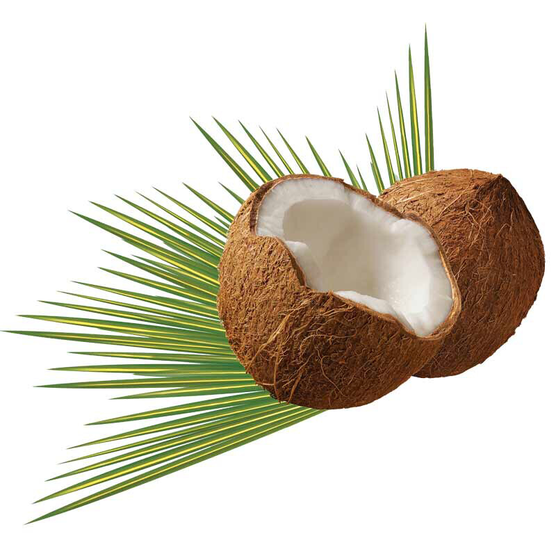 Coconut 1 Unit