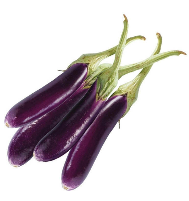 Long Brinjal