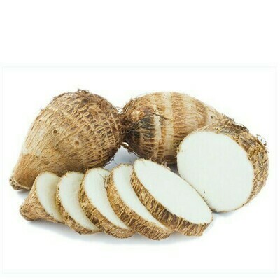 Colocasia Big MVR 60/Kg