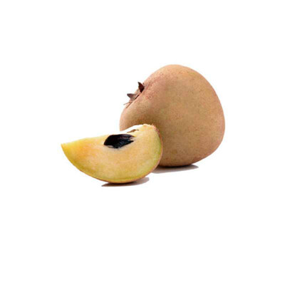 Chikku (Sabudelli) - Seasonal