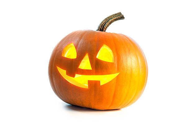 Big Size Pumpkin for Curving (6kg Above)