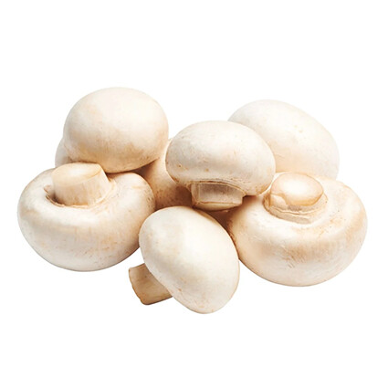 Button Mushroom