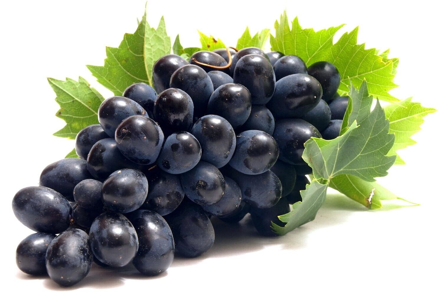 Black Grapes (Seasonal)