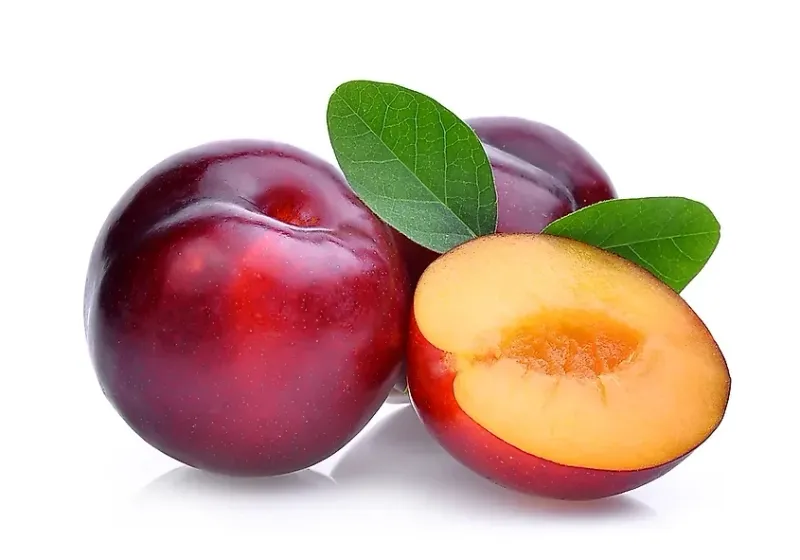 Plums (Seasonal)
