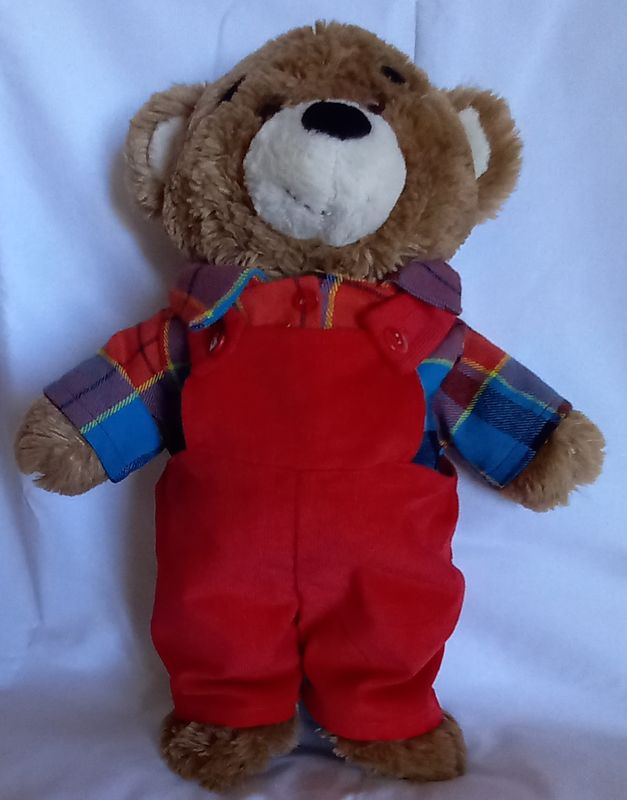 Dungarees: with red and blue check shirt.