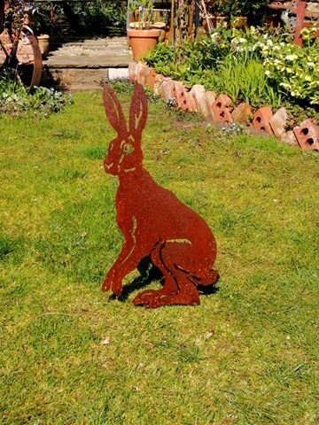 Hare