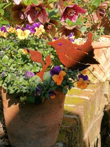 Rusty Jenny Wren