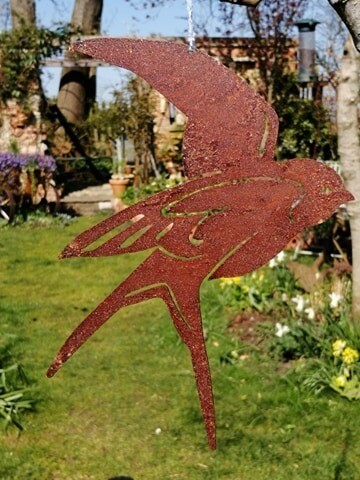 Rusty Swallow