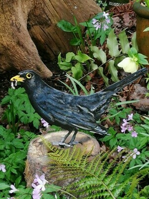 Hand Painted Black Bird