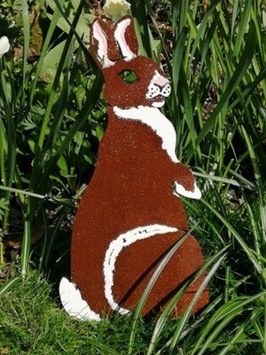 Painted Rabbit
