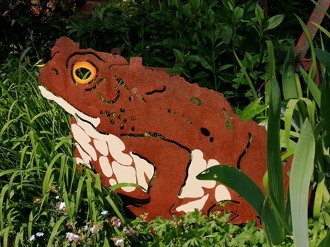 Giant Toad